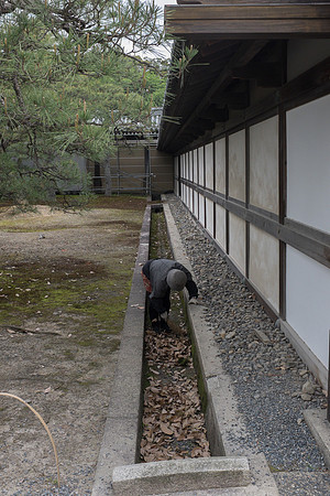 Day 9   Kyoto-0103 -DSCF1500