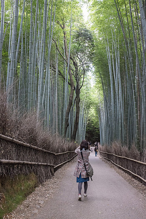 Day 12 - Kyoto-0162 -DSCF2072