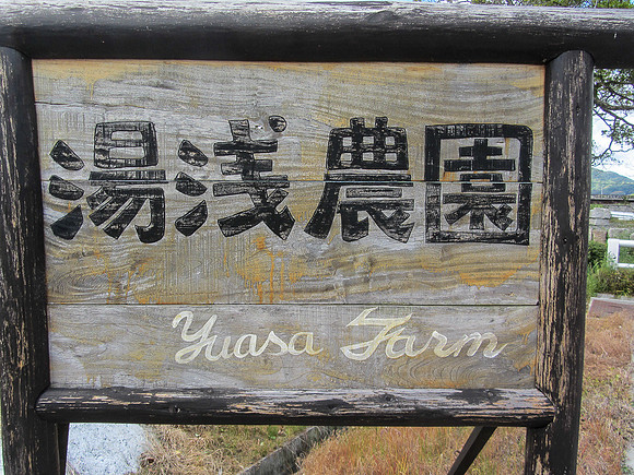 Japan - Judy-0085 -IMG_3299