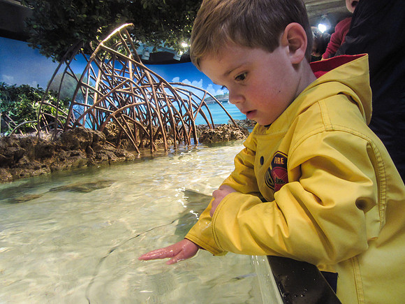 NE Aquarium-3