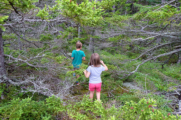 Kiddie Kamp 2015-4115 -2015-07-21