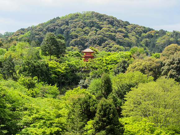 Japan - Judy-0076 -IMG_3290