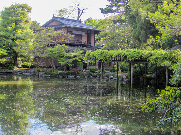 Japan - Judy-0105 -IMG_3416