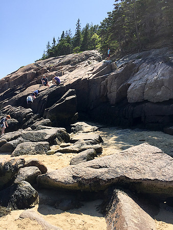 Summer 2018-3383 -2018-07-10