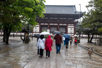 Day 9   Kyoto-0065 -DSCF1546