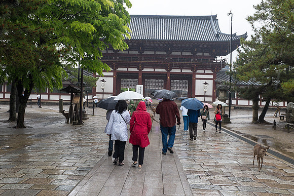 Day 9   Kyoto-0065 -DSCF1546