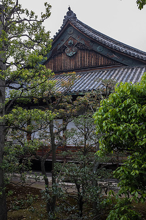 Day 9   Kyoto-0089 -DSCF1493