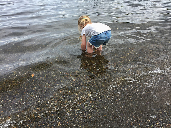 Summer 2018-3756 -2018-08-08