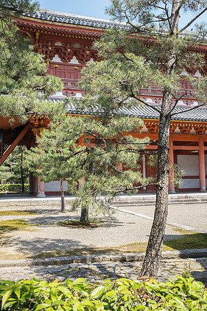 Day 9   Kyoto-0023 -DSCF1460