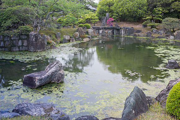 Day 9   Kyoto-0113 -DSCF1505