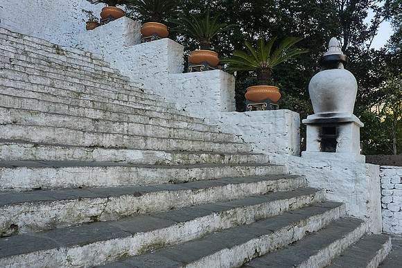 DSCF3516