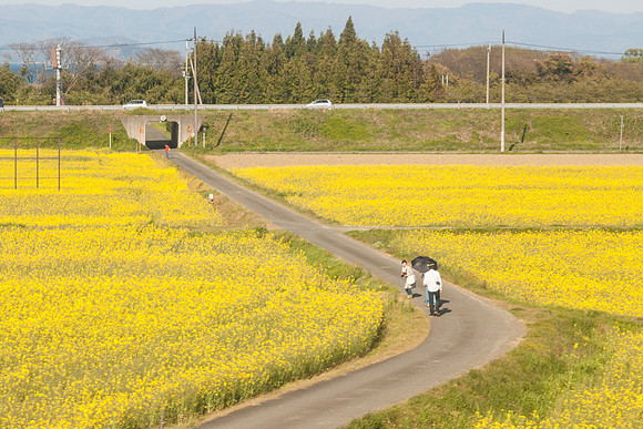 Day 7 - Shirakawa-go-0046 -_MG_6100