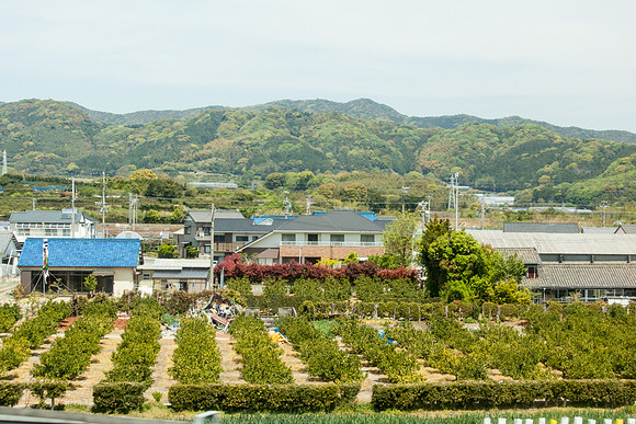 Day 4-0091 -_MG_6050
