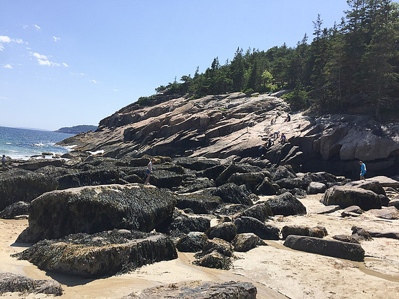 Summer 2018-3346 -2018-07-10