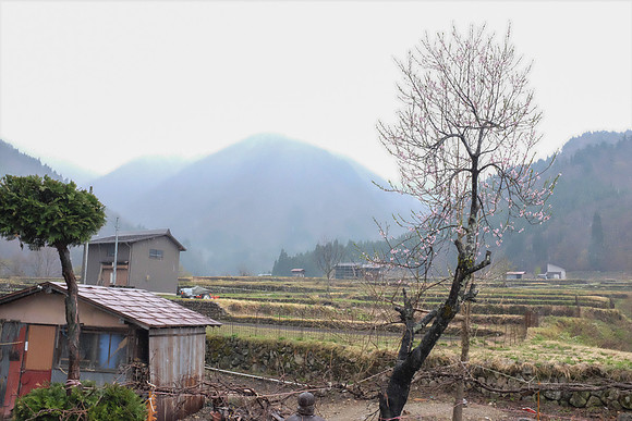 Day 7 - Shirakawa-go-0031 -DSCF1137