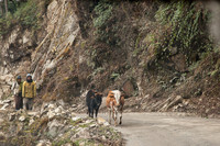 Bhutan Day 6