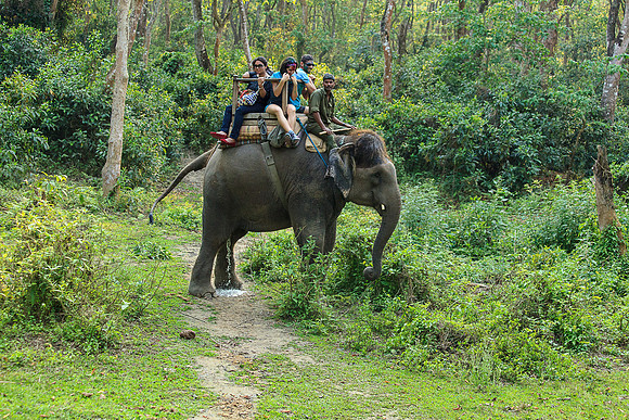 _MG_2902
