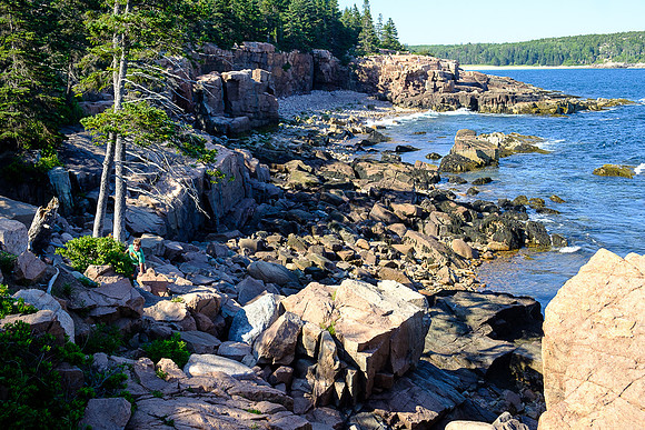 Summer 2018-4961 -2018-07-09