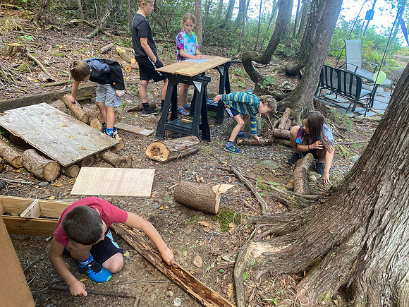 Summer 2020-1486 -2020-09-05