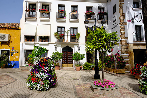 20220618-DSCF2774Spain 2022