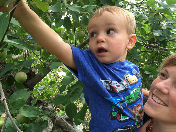 Grampa's Bday 2015-4491 -2015-09-12