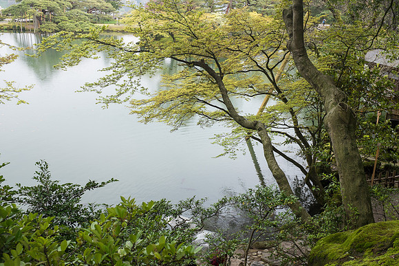 Day 6 Kanazawa-0115 -DSCF0999