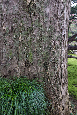 Day 6 Kanazawa-0063 -DSCF0973