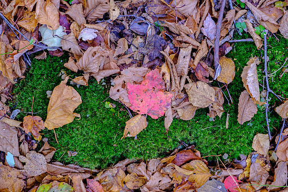 untitled-1510 -2020-10-11