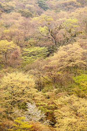Day 4-0049 -_MG_6008