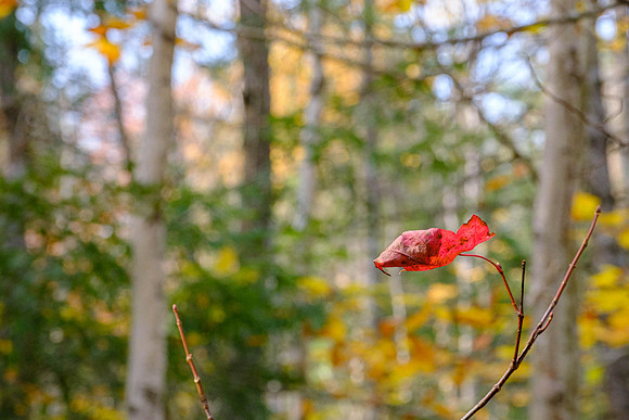 untitled-1435 -2020-10-10