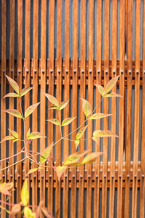 Day 6 Kanazawa-0208 -DSCF1098