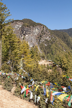 _MG_1489
