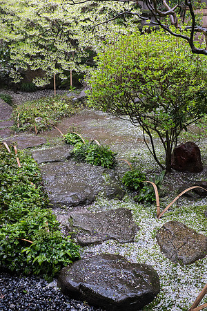 Day 6 Kanazawa-0168 -DSCF1078