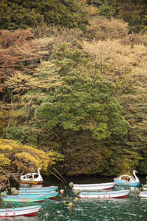 Day 4-0048 -_MG_6007