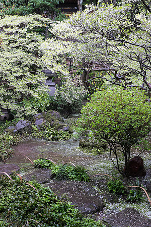 Day 6 Kanazawa-0172 -DSCF1080