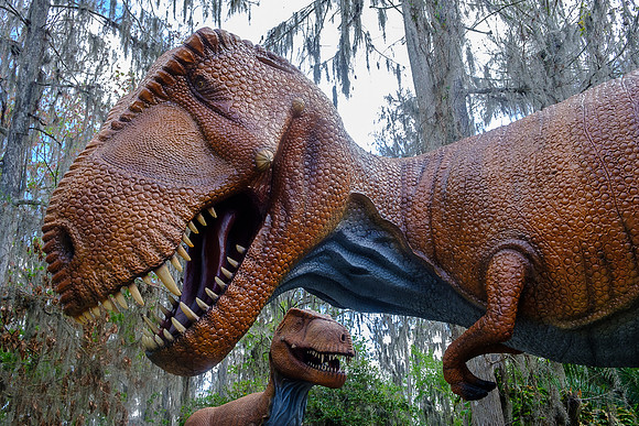 Florida-6512 -2018-02-22