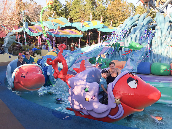 iPhone-2242 -2018-02-17