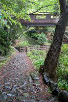 April 24 - Hakone