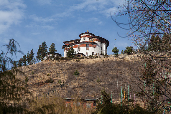 _MG_0919