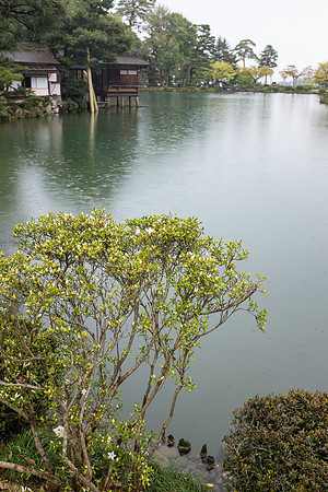 Day 6 Kanazawa-0111 -DSCF0997
