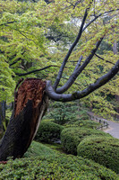 Day 6 Kanazawa-0015 -DSCF0949