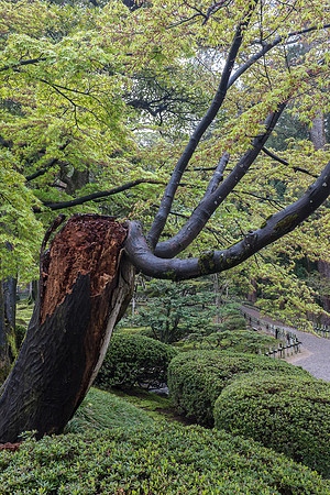 Day 6 Kanazawa-0015 -DSCF0949