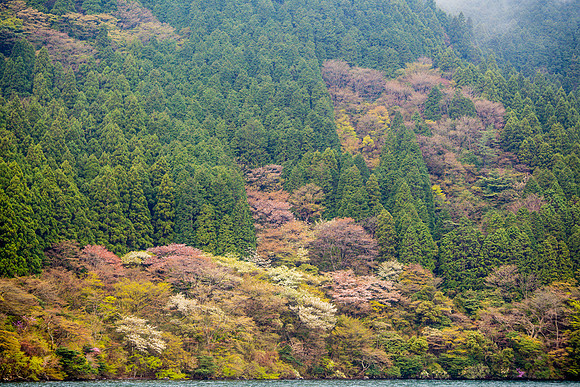 Day 4-0058 -_MG_6017