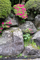 untitled-0020 -DSCF0602