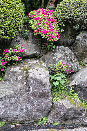 untitled-0020 -DSCF0602