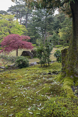 Day 6 Kanazawa-0093 -DSCF0988