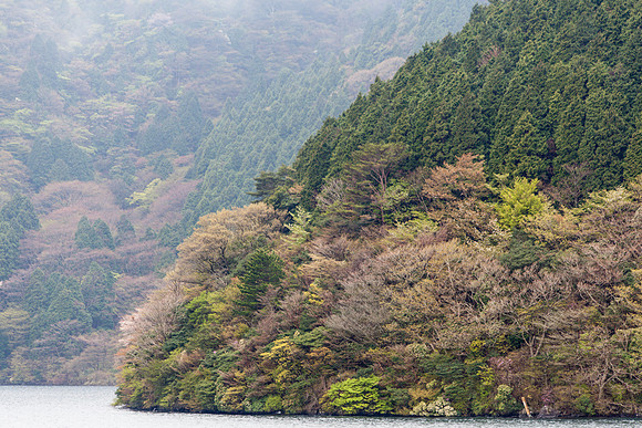 Day 4-0060 -_MG_6019