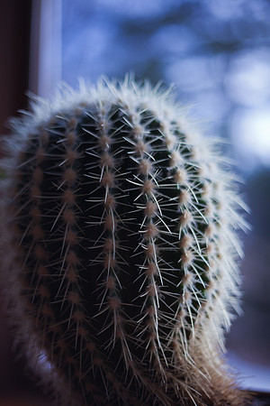 Uncle David's-4_2012-01-28