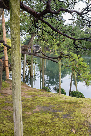 Day 6 Kanazawa-0025 -DSCF0954