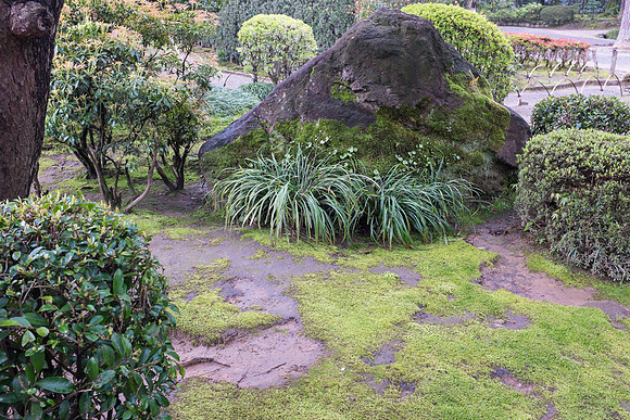 Day 6 Kanazawa-0103 -DSCF0993